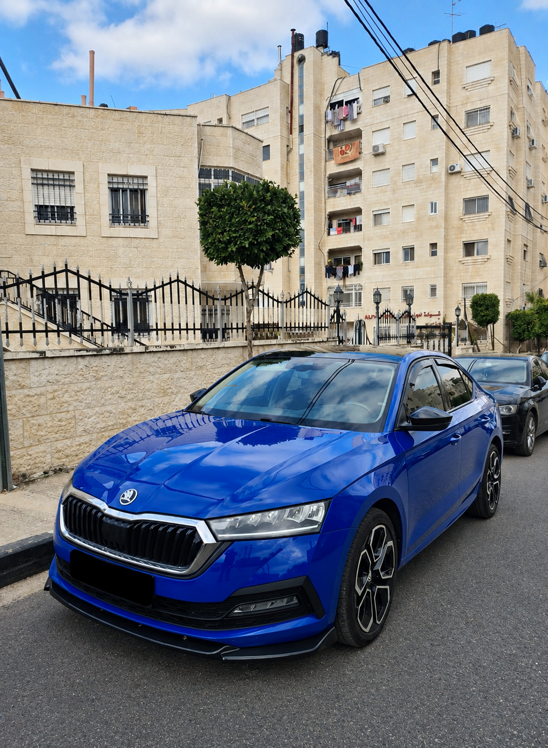 الحبة المميزة اوكتافيا القصة الجديدة